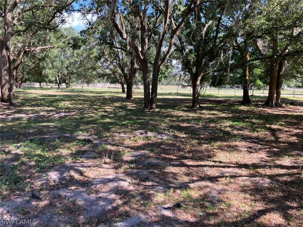 7480 Southwest Environmental Lab Street Arcadia, FL 34266 - Photo 28 of 35 Gallery Image 28