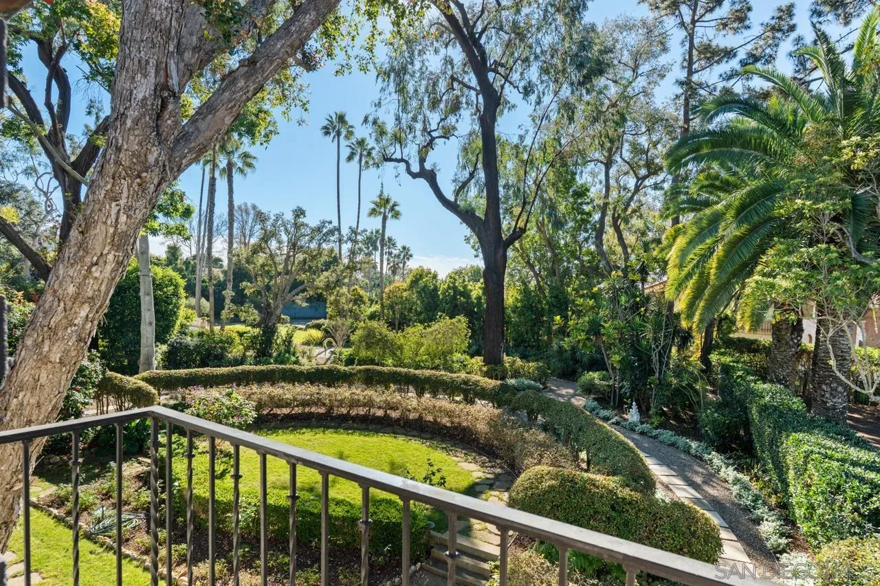 1205 Muirlands Drive La Jolla, CA 92037 - Photo 69 of 75 a view of a yard with a tree