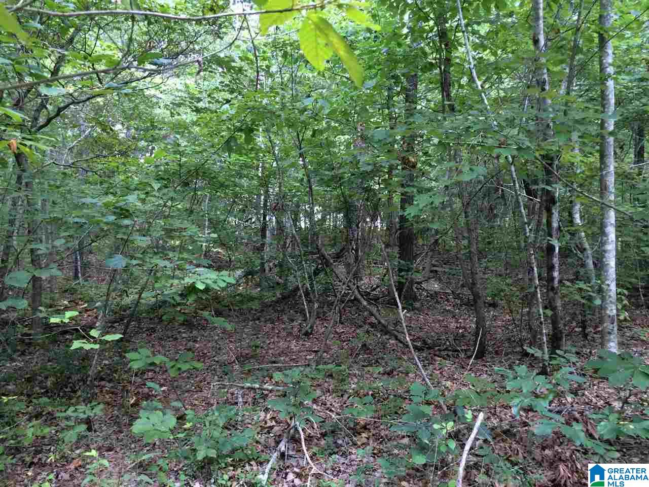 Spunky Hollow Road, Unit 18 7 Oneonta, AL 35121 - Photo 29 of 46