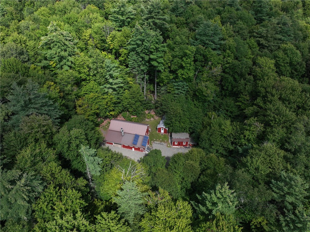 334 Lulu Coon Road Butternuts, NY 13849 - Photo 4 of 41 Gallery Image 4