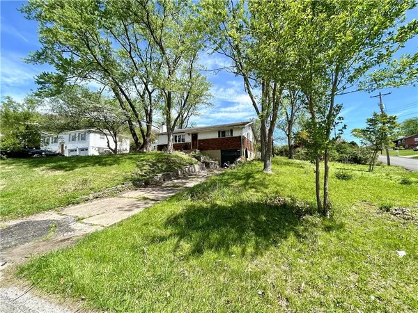 a backyard of a house with plants and large tree