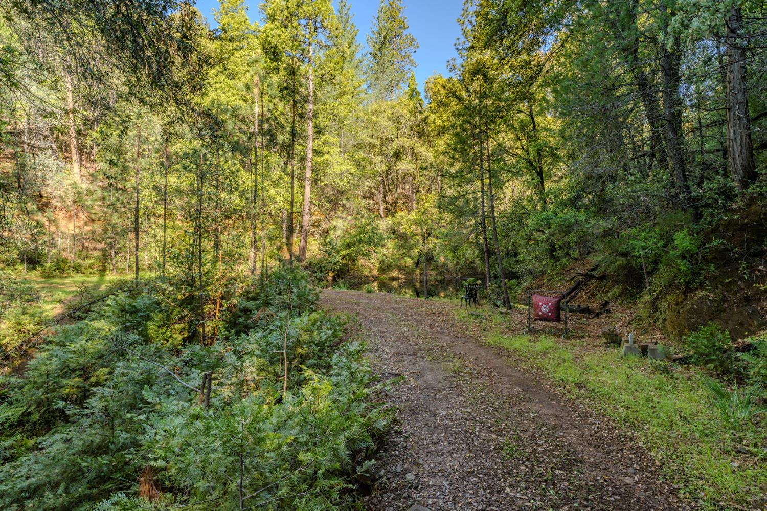12511 Tabeaud Road Pine Grove, CA 95665 - Photo 55 of 63 Gallery Image 55