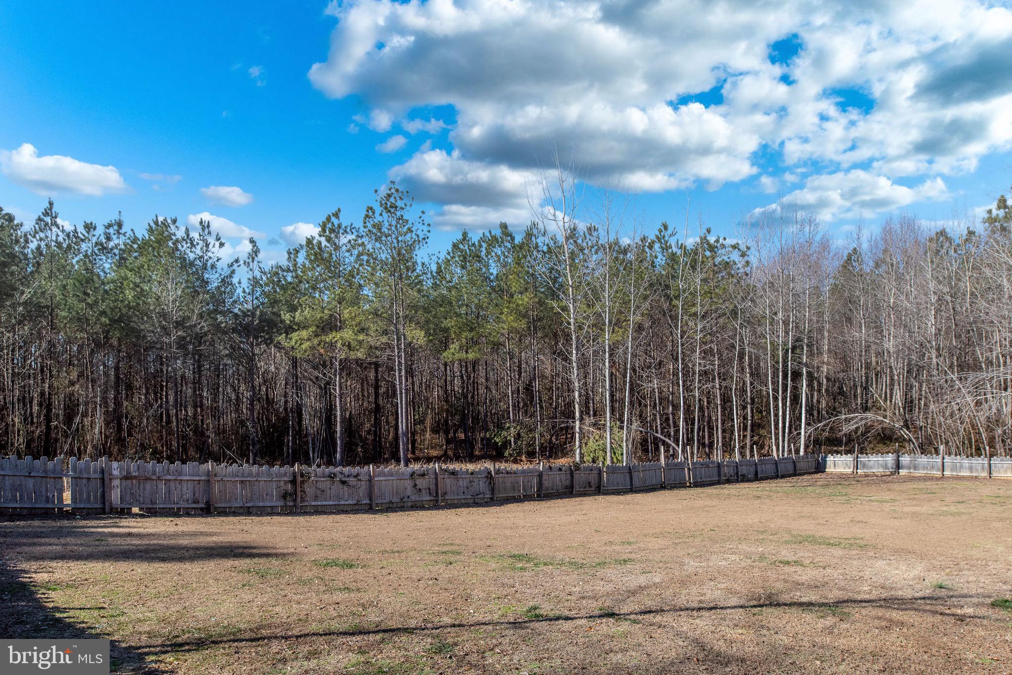 20251 Ben Gayle Road Beaverdam, VA 23015 - Photo 62 of 76