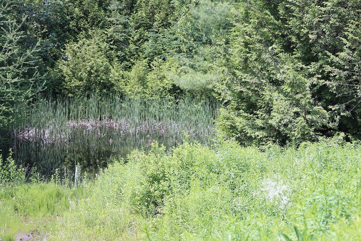 167 Isham Hill Road Danville, VT 05873 - Photo 57 of 60