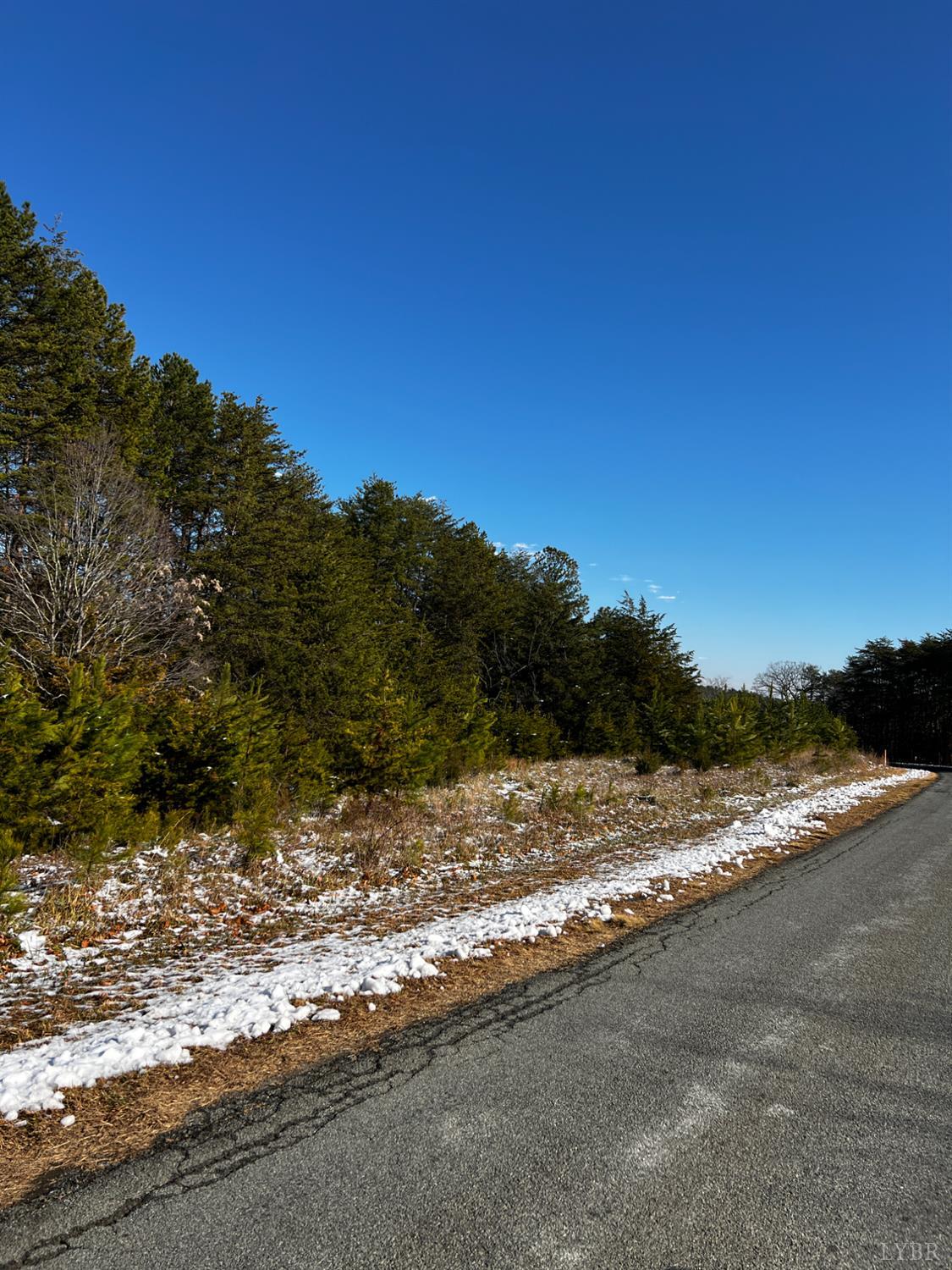 1796 Owens Mill Road Gretna, VA 24557 - Photo 22 of 24 a view of a yard with a tree