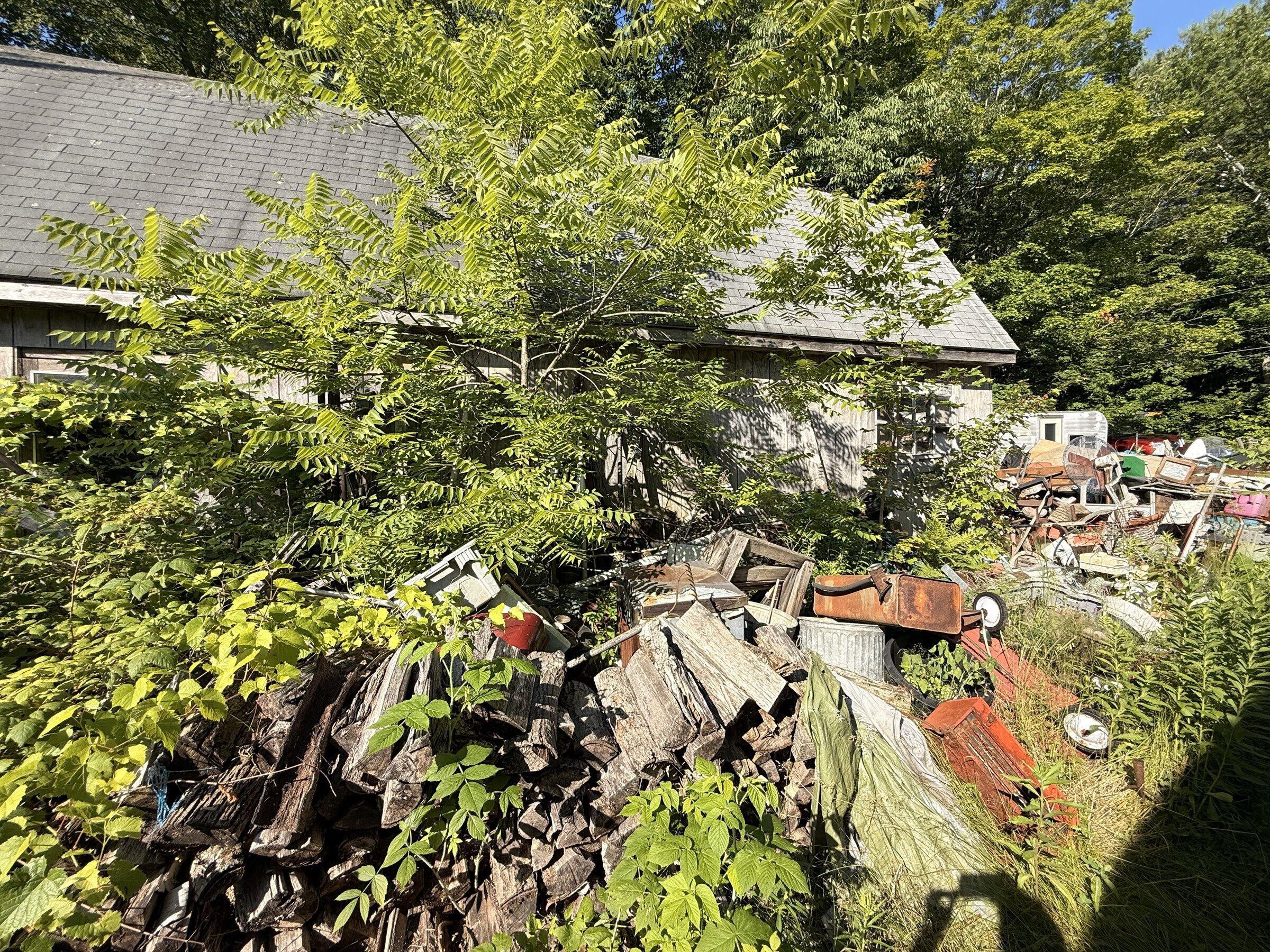 93 Hinkley Road Gardiner, ME 04345 - Photo 13 of 32 13_IMG_3029_Wooded_Yard