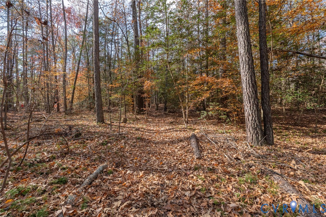 7238 Rural Point Road Mechanicsville, VA 23116 - Photo 33 of 36 Private walking, running or riding trails through
