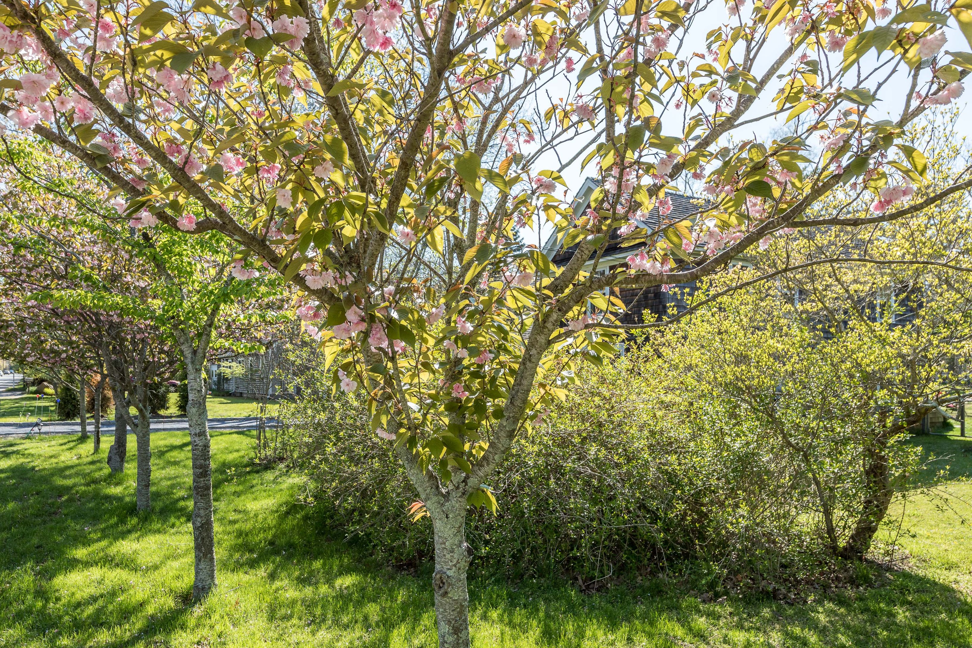599 Springs Fireplace Road East Hampton, NY 11937 - Photo 23 of 27 Gallery Image 23