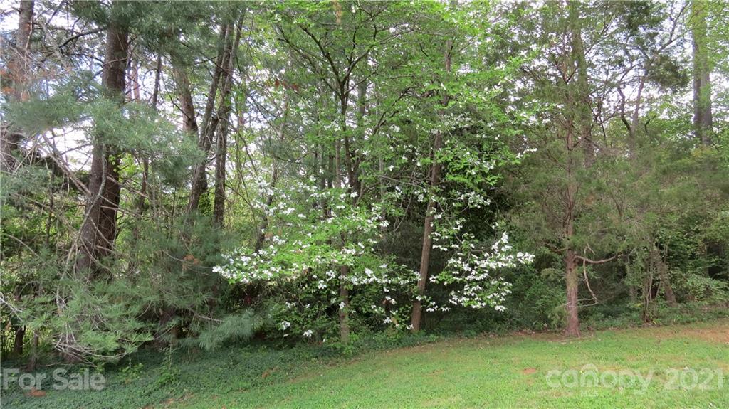 245 Crestview Street Rutherfordton, NC 28139 - Photo 9 of 25 Gallery Image 9