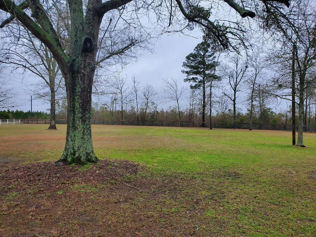 1975 Old Barnwell Road Williston, SC 29853 - Photo 15 of 15 Gallery Image 15