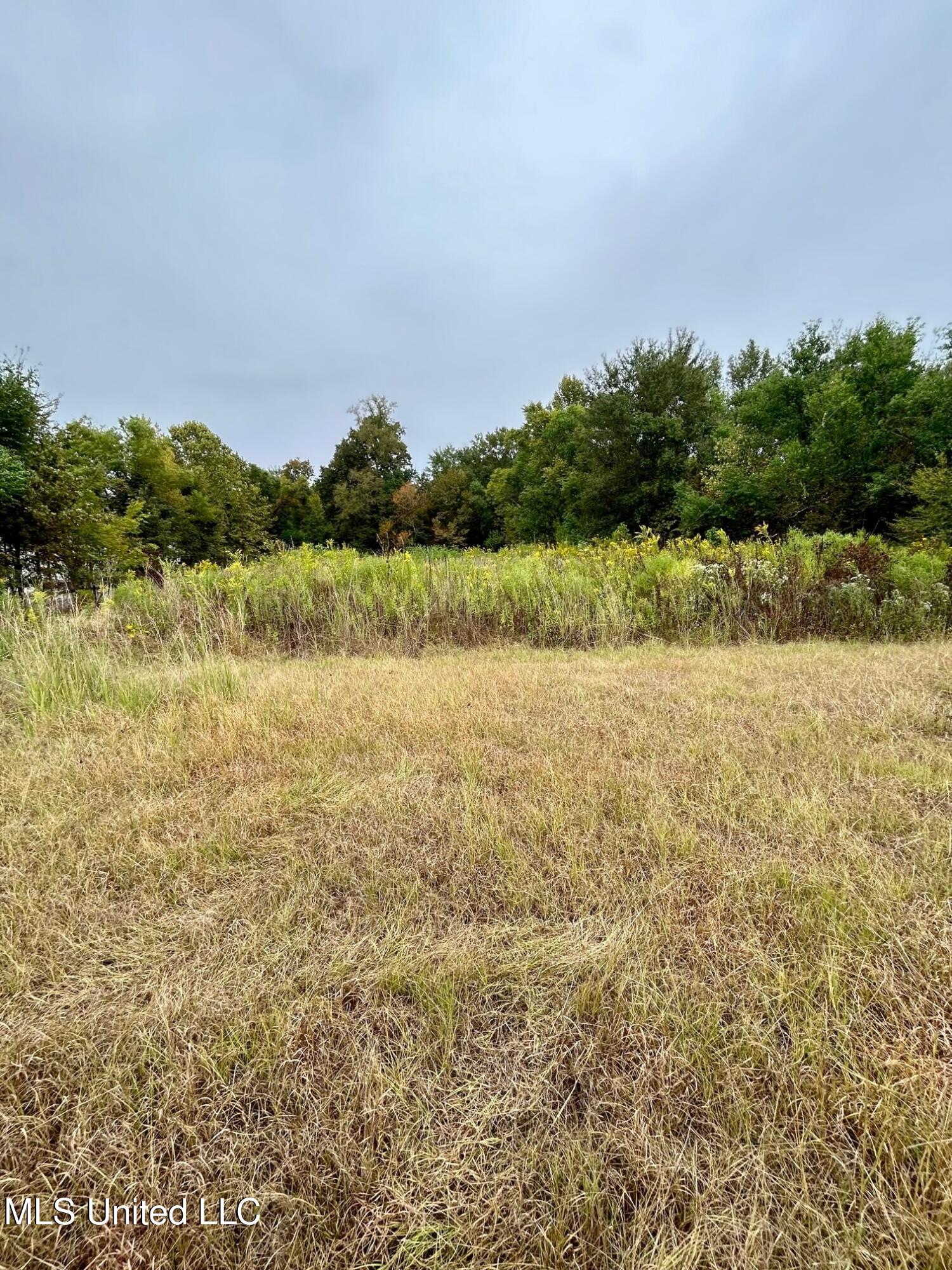 208 Weisenberger Road Madison, MS 39110 - Photo 6 of 6 weisenberger pic 5