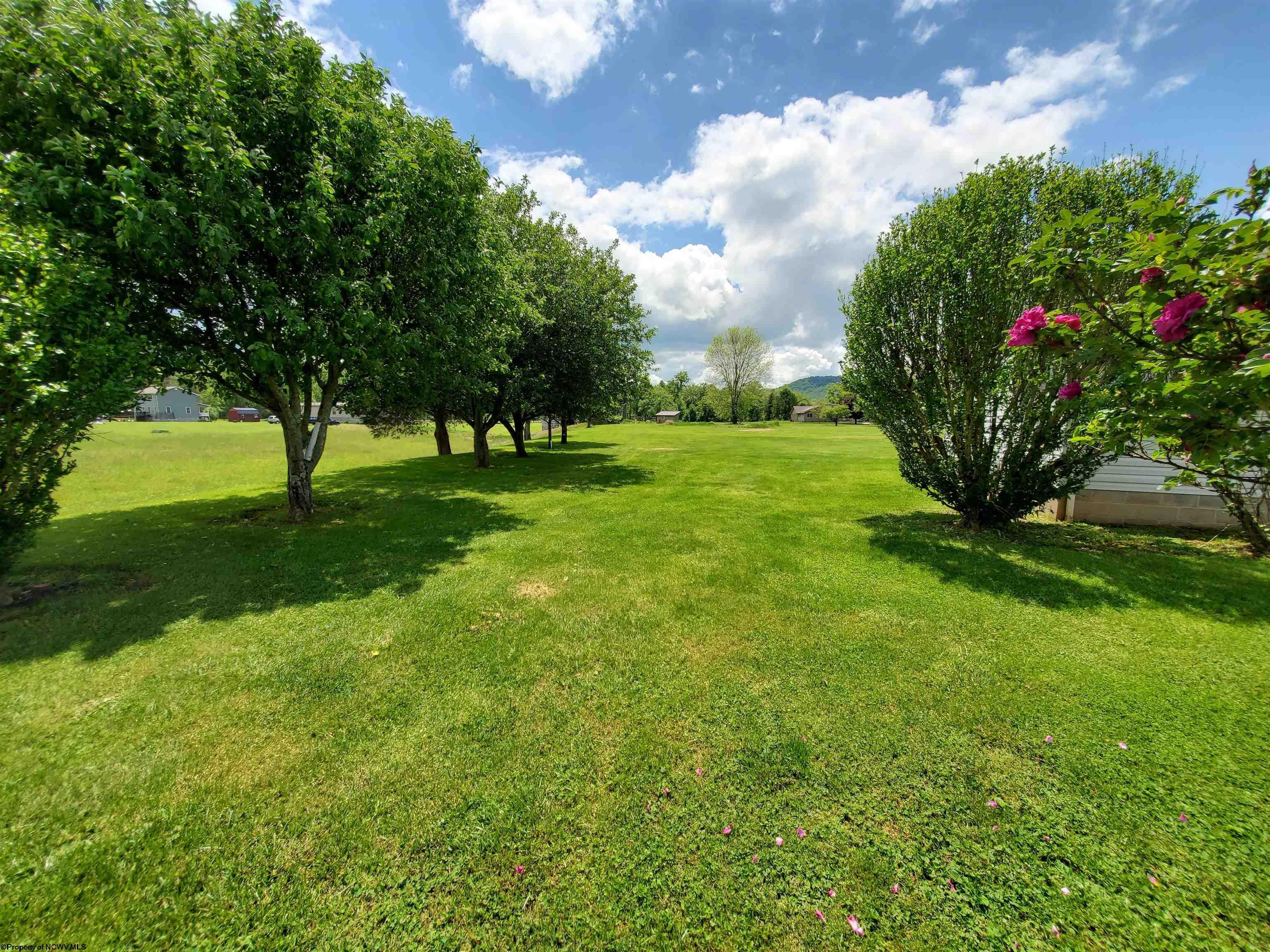 106 Harmony Grove Road Parsons, WV 26287 - Photo 43 of 50 Gallery Image 43