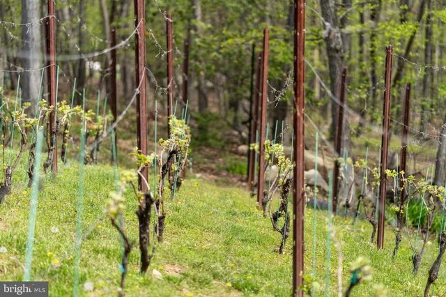 a view of a roof deck with table and chairs with wooden floor and fence