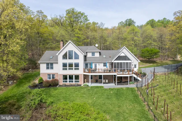 a view of backyard of house