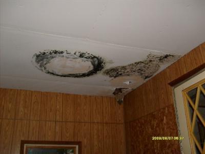 7540 Durham Road Whitehall, MI 49461 - Photo 7 of 8 Additional Photo
