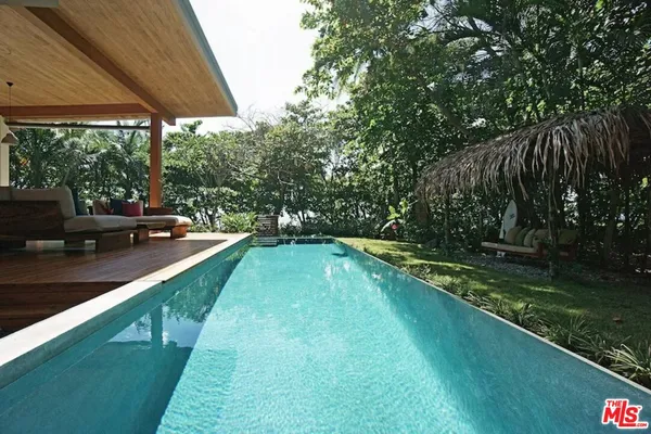 a view of a yard with plants and large trees