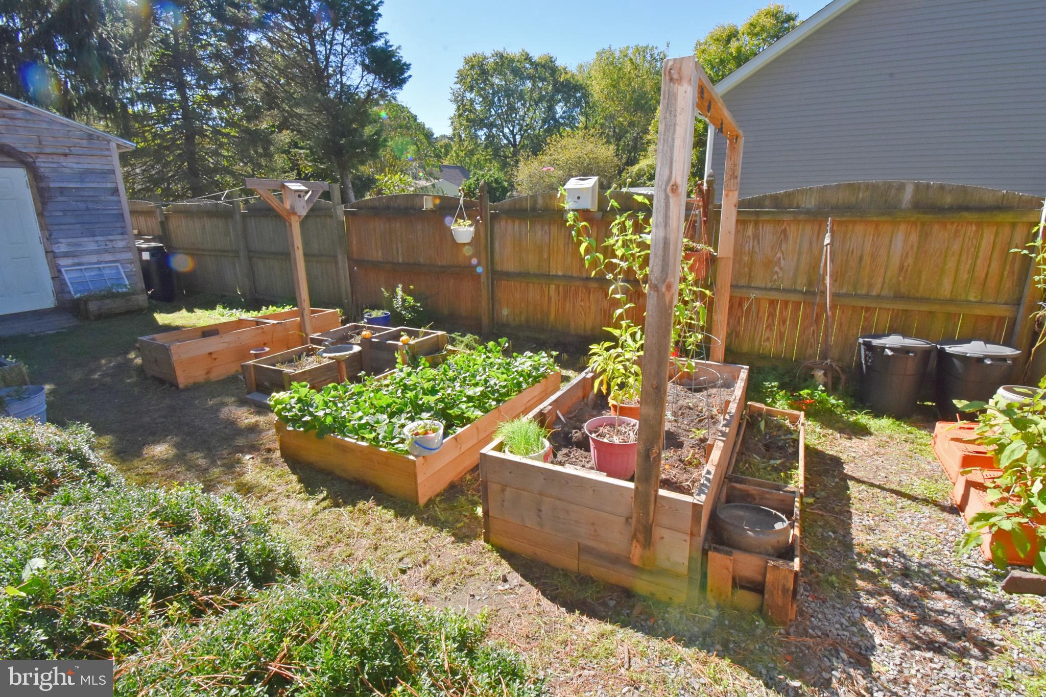 30223 Mt Vernon Road Princess Anne, MD 21853 - Photo 40 of 53 a view of a chairs and tables in the patio