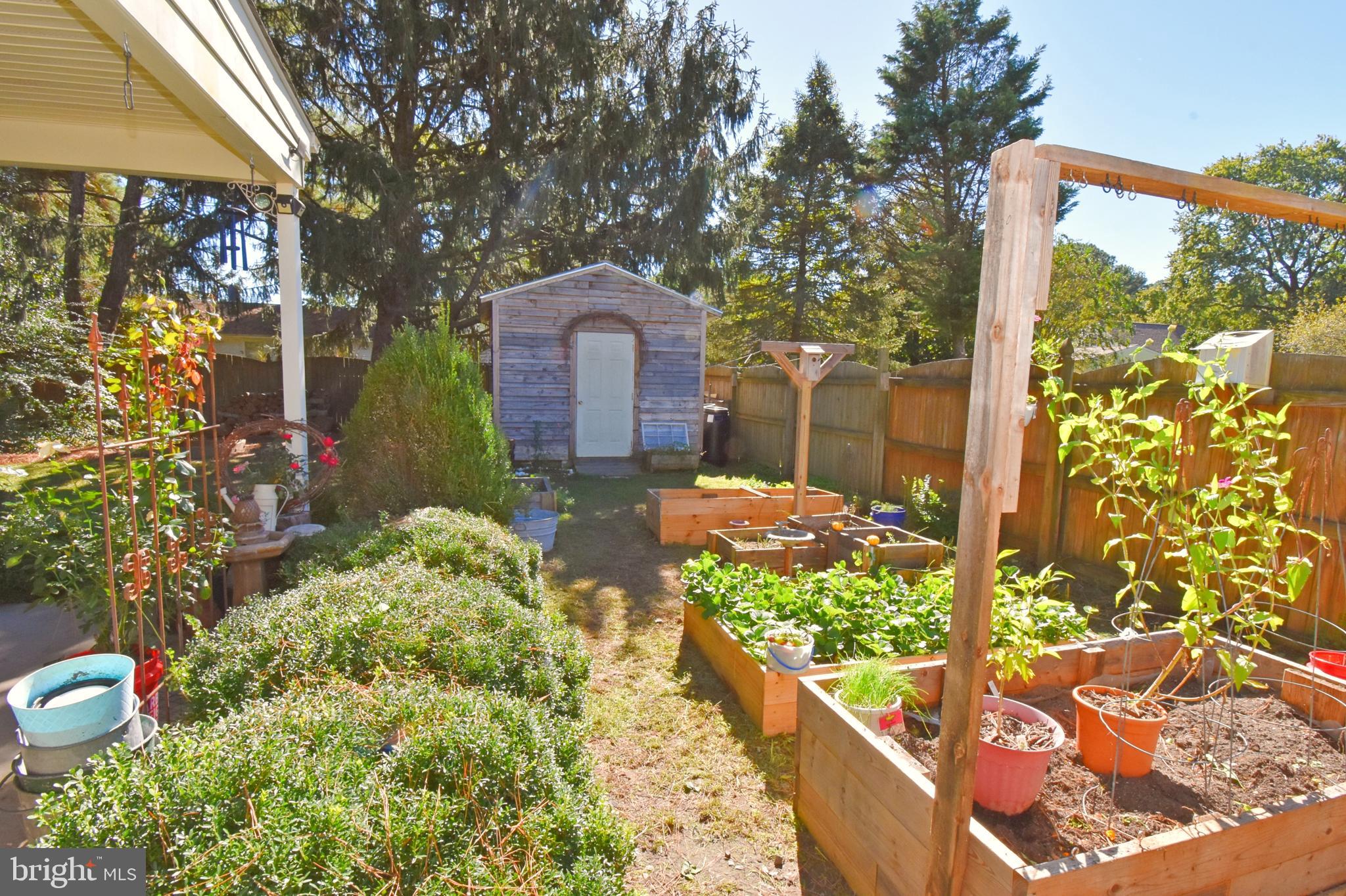 30223 Mt Vernon Road Princess Anne, MD 21853 - Photo 46 of 53