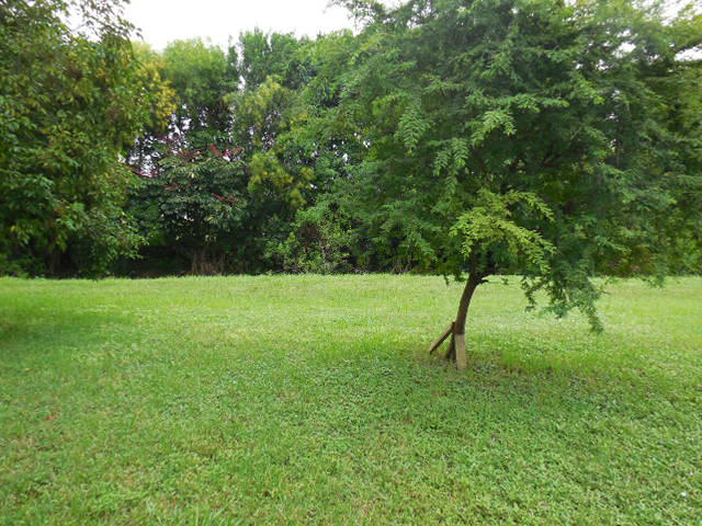 10375 Greenbriar Court Boca Raton, FL 33498 - Photo 31 of 41 VIEW