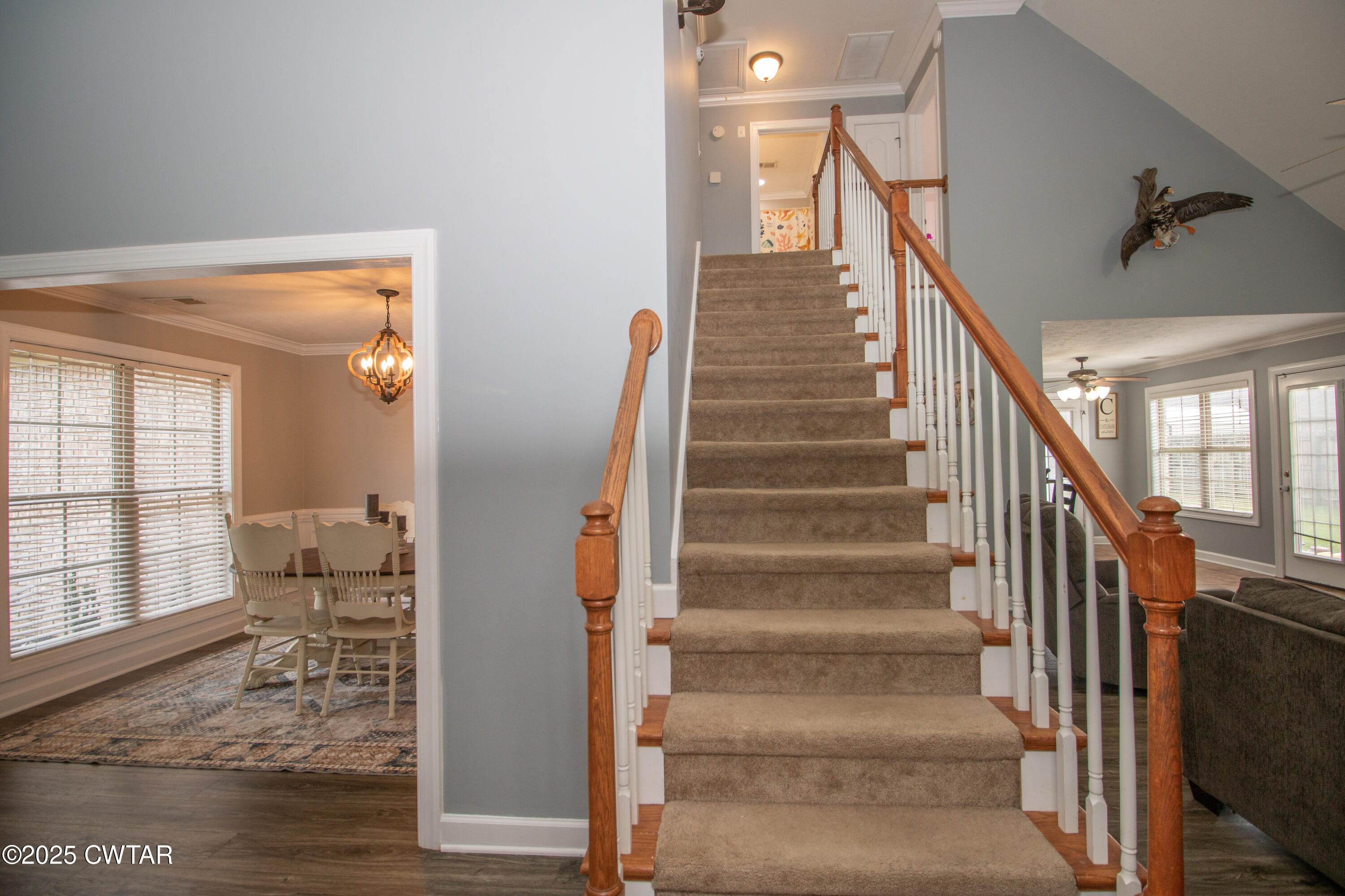 241 Stone Ridge Cove Medina, TN 38355 - Photo 53 of 59 IMG_4939