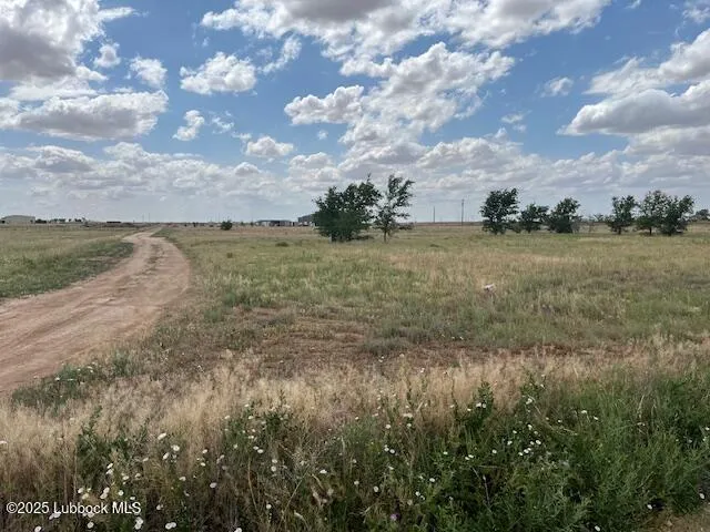 a view of a lake from a yard