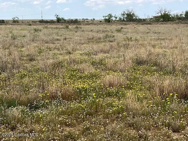 $110,000 | 10412 Private Road 5860, Shallowater, TX 79363