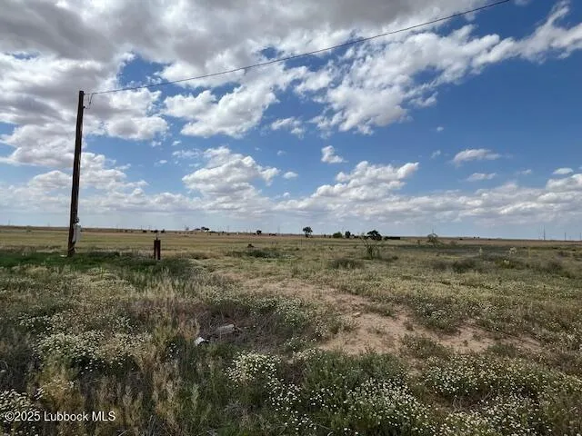 $110,000 | 10412 Private Road 5860, Shallowater, TX 79363