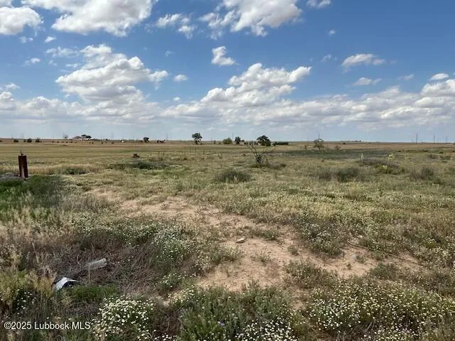 $110,000 | 10412 Private Road 5860, Shallowater, TX 79363