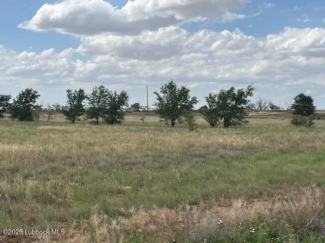 $110,000 | 10412 Private Road 5860, Shallowater, TX 79363