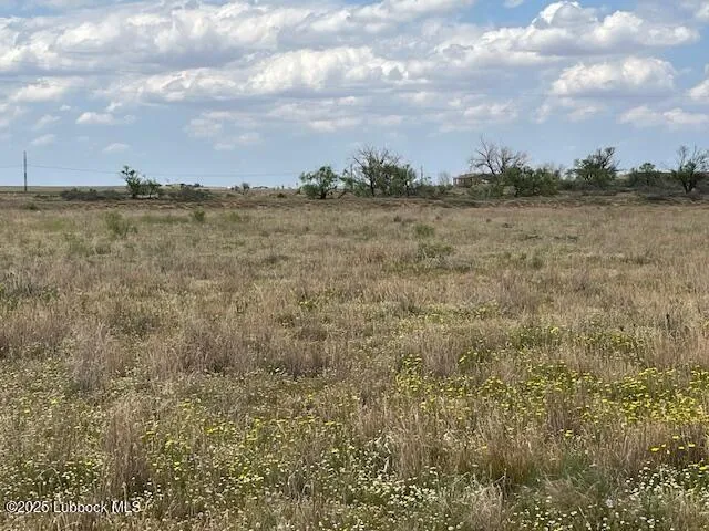 $110,000 | 10412 Private Road 5860, Shallowater, TX 79363