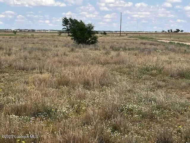 $110,000 | 10412 Private Road 5860, Shallowater, TX 79363