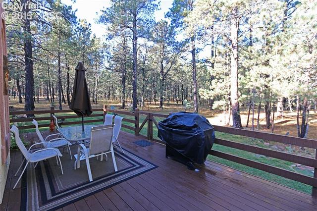 12080 Windmill Road Colorado Springs, CO 80908 - Photo 19 of 36