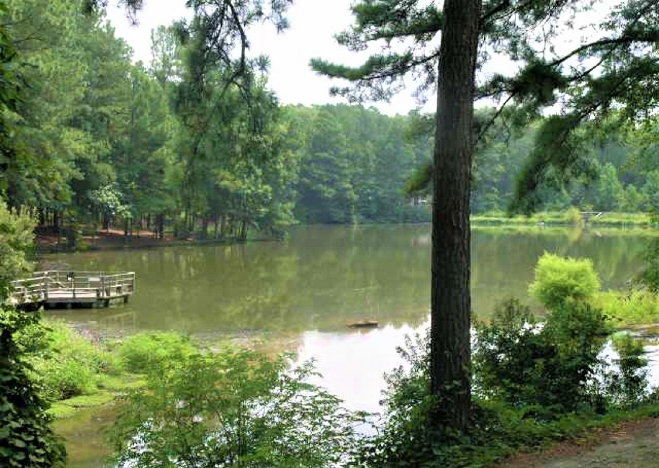 5052 Flint Ridge Place, Unit 5052 Raleigh, NC 27609 - Photo 65 of 67 Photo 65