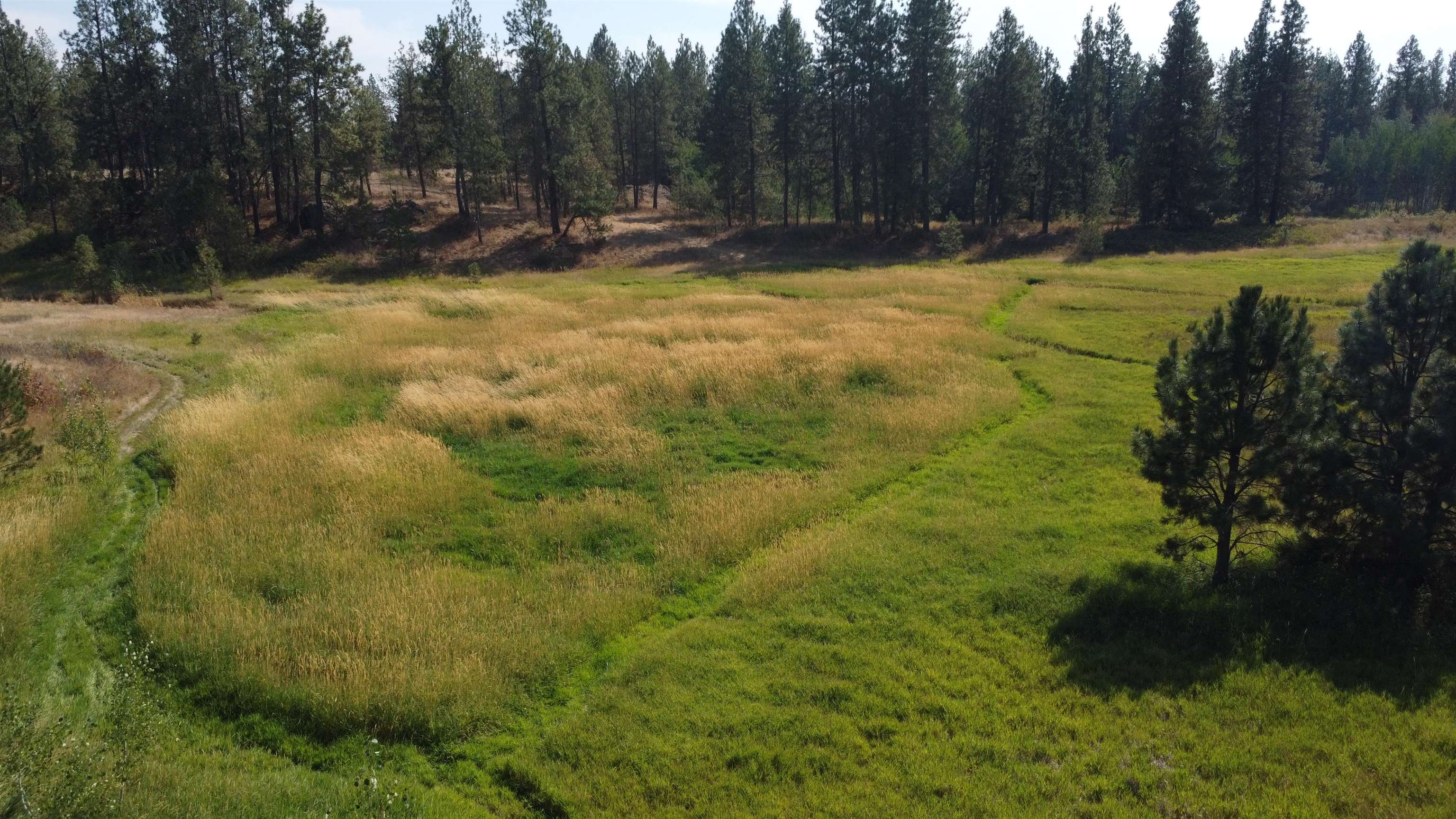 25106 West Carman Road Cheney, WA 99004 - Photo 46 of 50
