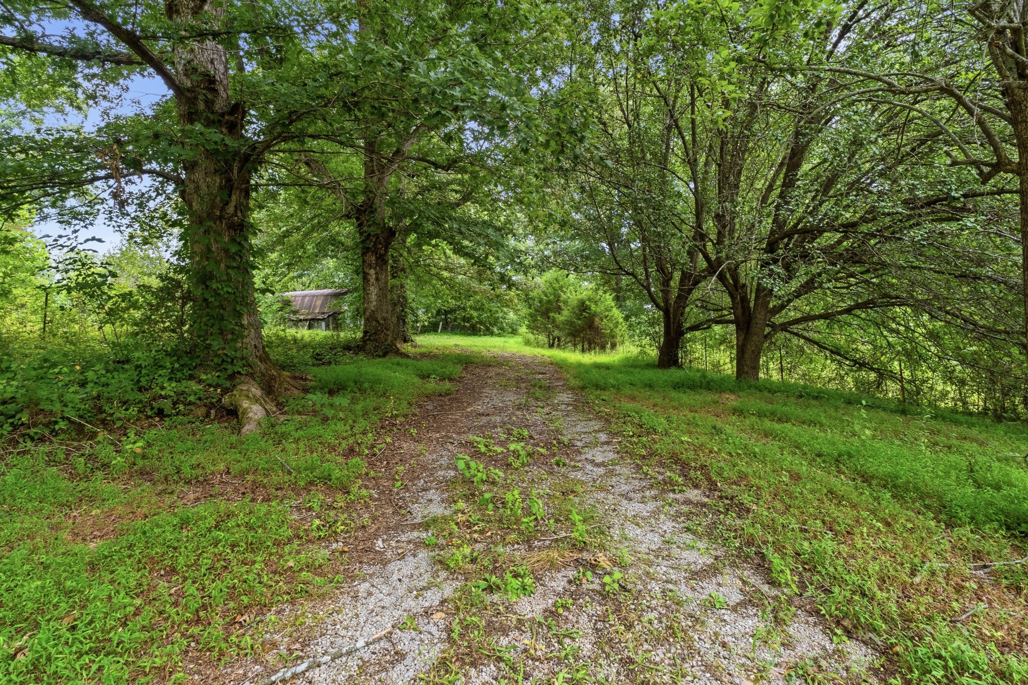 329 Old Standing Stone Road Livingston, TN 38570 - Photo 28 of 34 Gallery Image 28