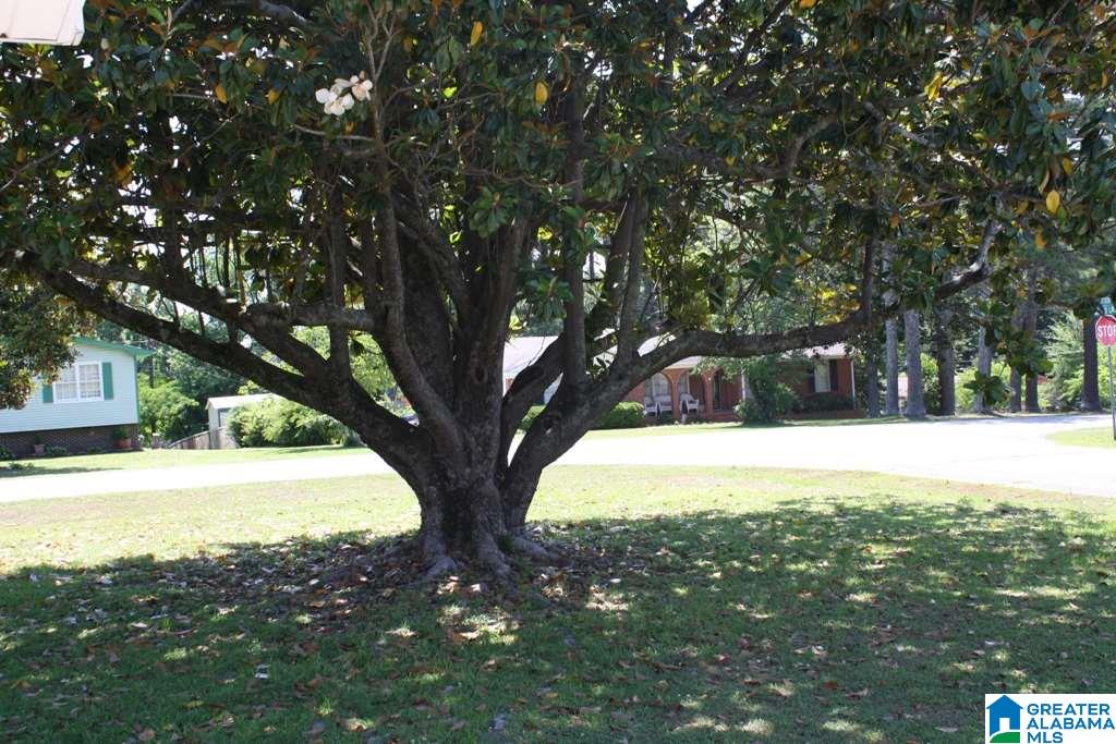 908 Robertson Road Anniston, AL 36207 - Photo 45 of 47