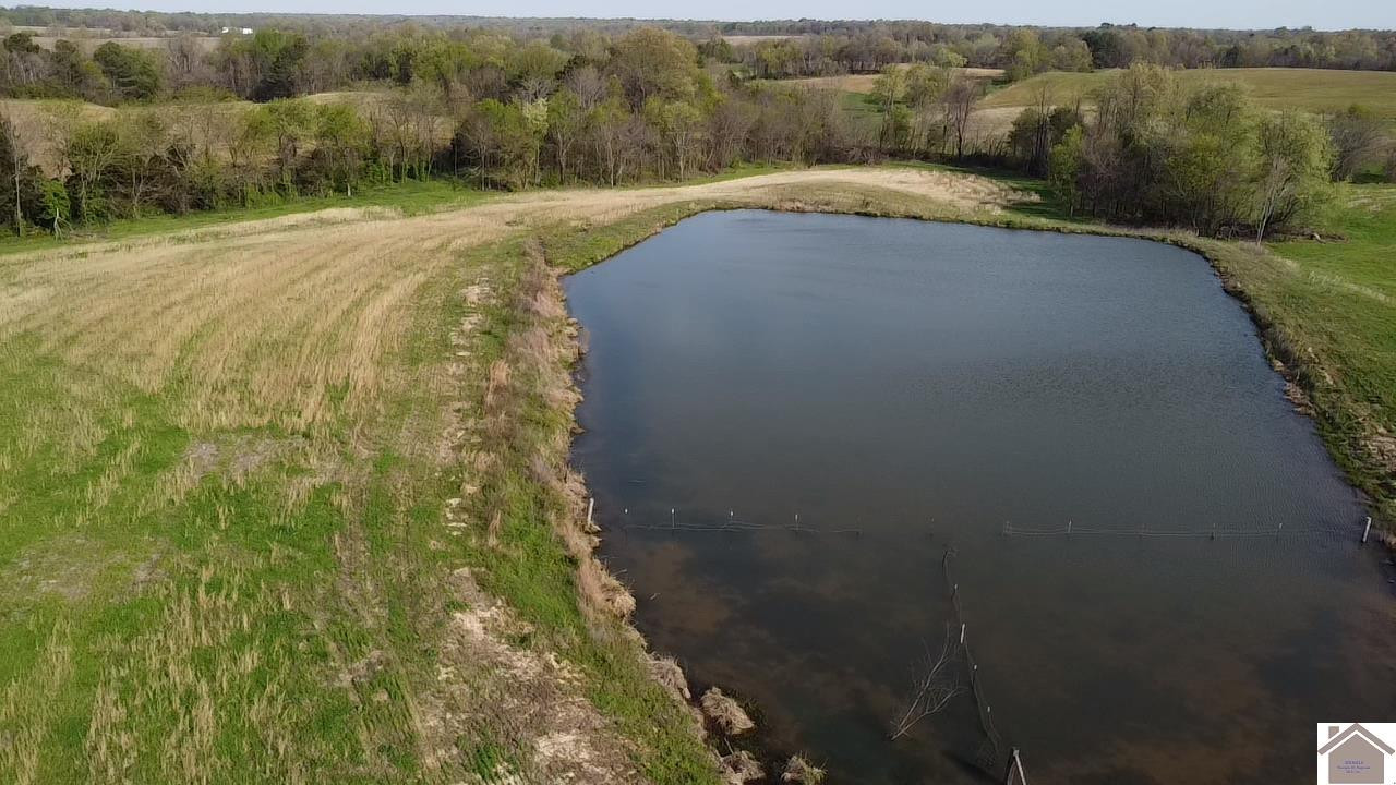 200 Dublin Hill Road Fancy Farm, KY 42039 - Photo 6 of 10 Photo 6