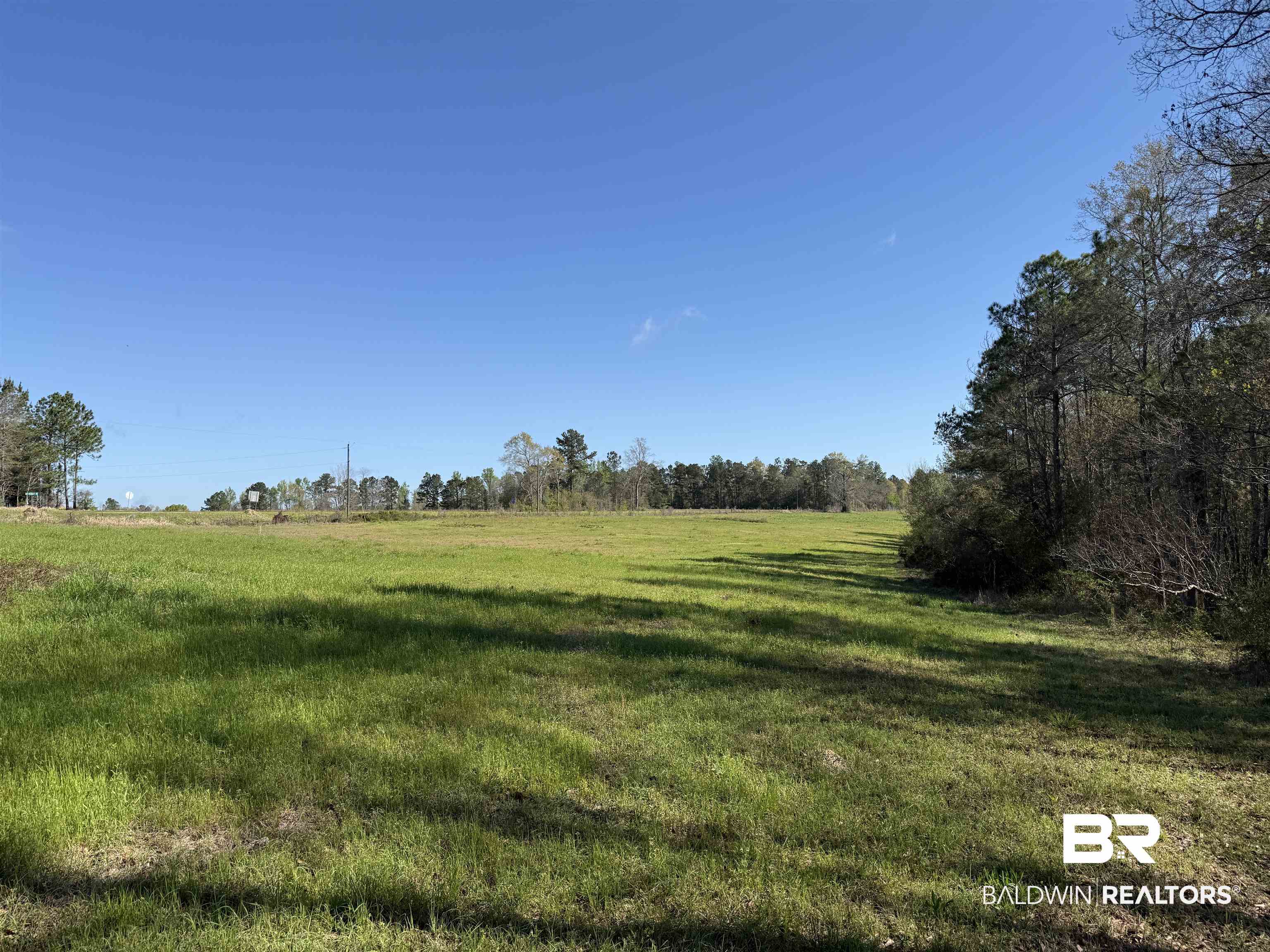 0 Gap Weekly Road Perdido, AL 36562 - Photo 12 of 20