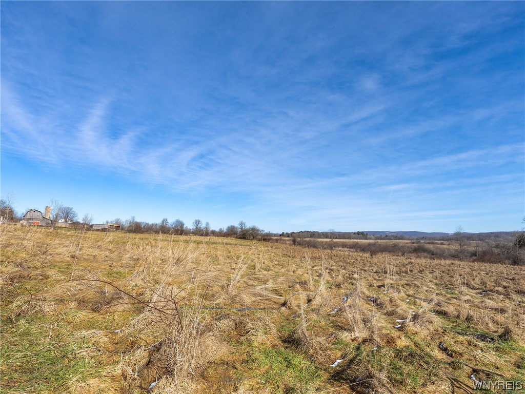V/l North Otto Road Cattaraugus, NY 14719 - Photo 9 of 14