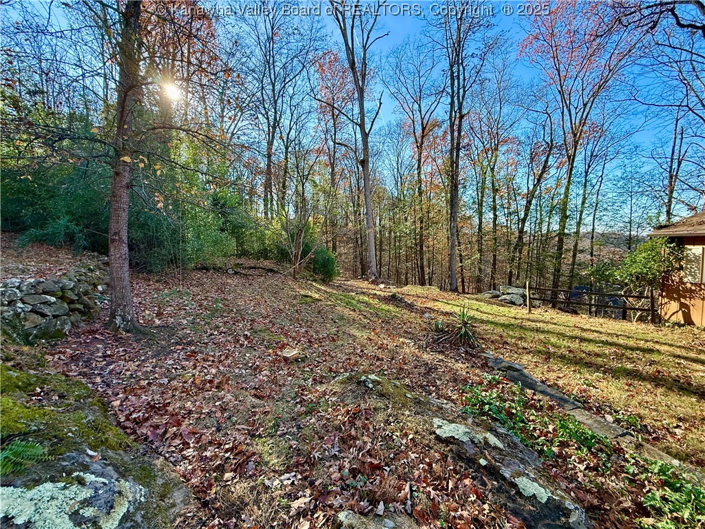 1705 Tanner Road Charleston, WV 25314 - Photo 45 of 50 Gallery Image 45
