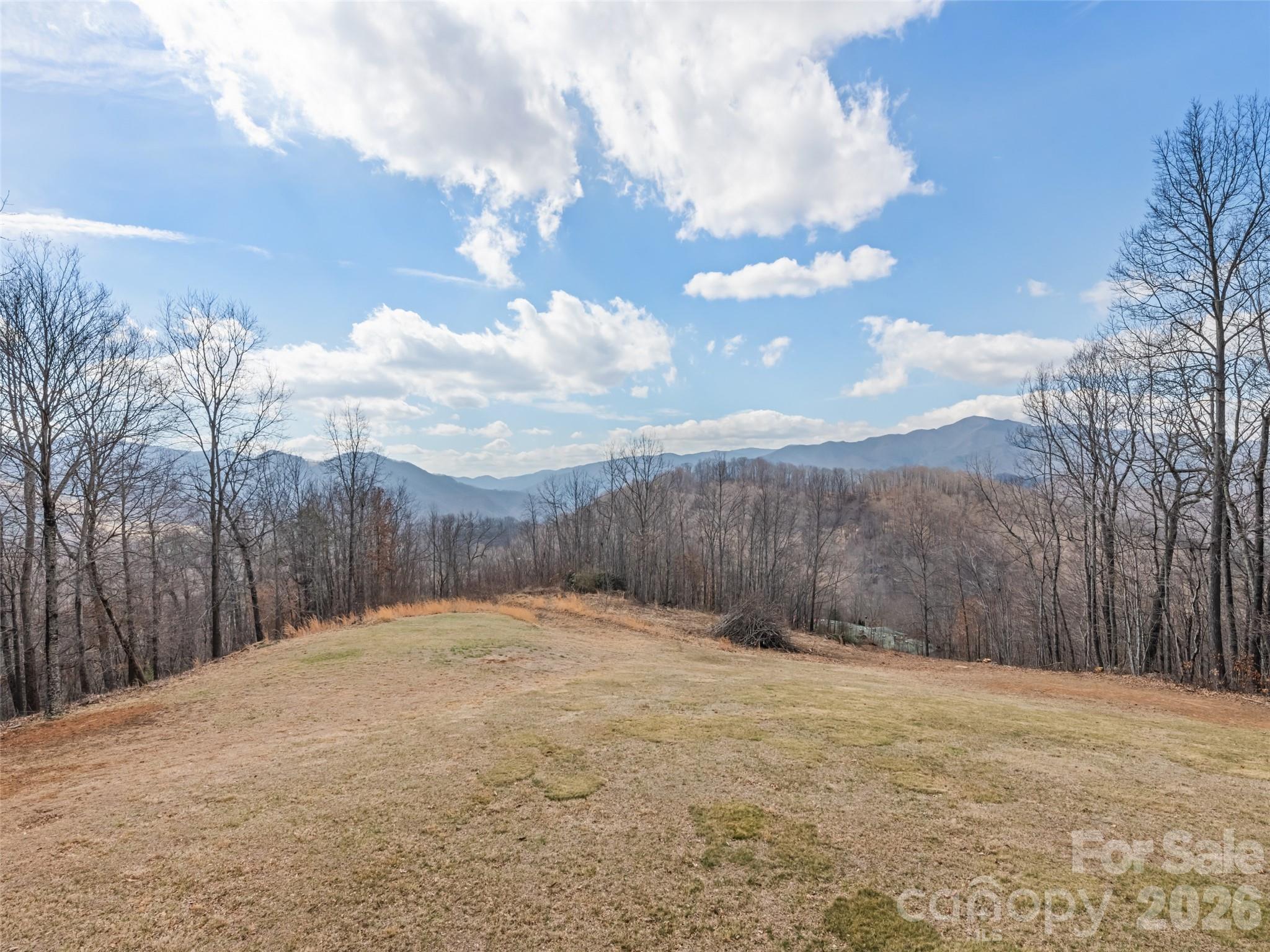 425 Rustic Ridge Drive Canton, NC 28716 - Photo 17 of 39