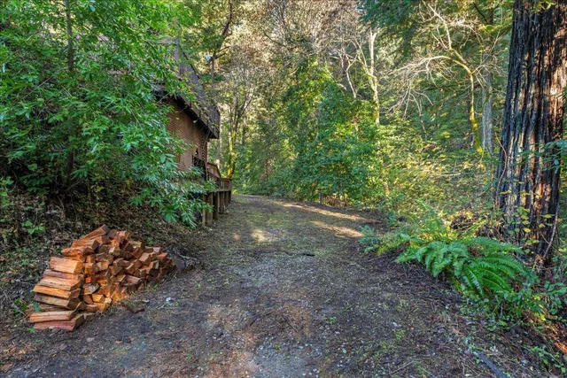 a view of outdoor space and trees