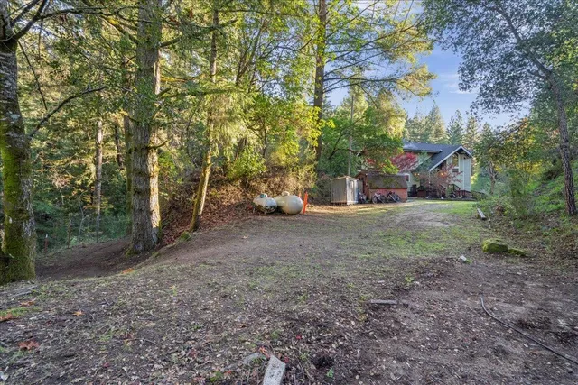a view of a backyard with large trees