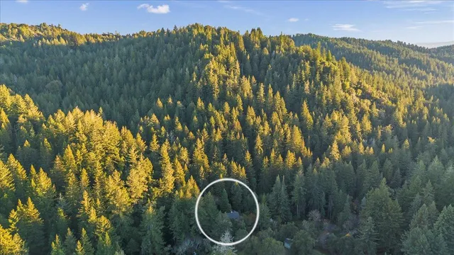 a view of a yard with swimming pool and green space