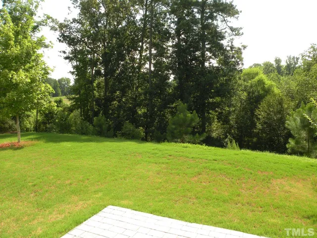 a view of a grassy field with trees