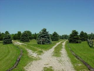 0 West Albain Road Monroe, MI 48161 - Photo 4 of 7 904188-3.JPG