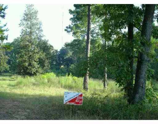 0 George Davidson Road Pollock, LA 71467 - Photo 1 of 1 Gallery Image 1