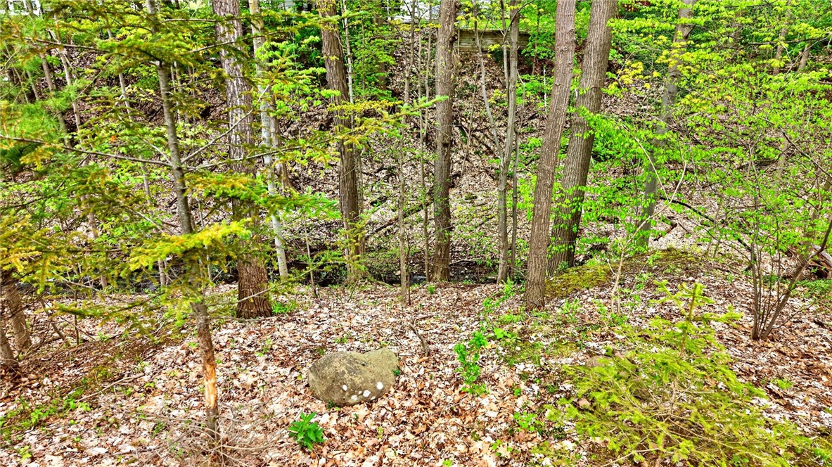 131 Panorama Trail Rochester, NY 14625 - Photo 40 of 50