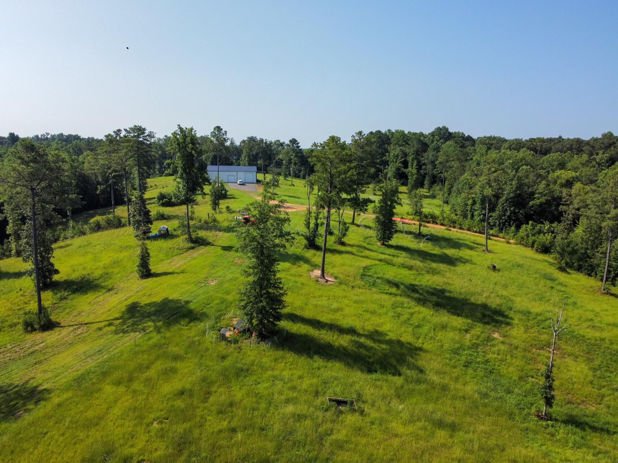 322 Gray Road Jasper, AL 35504 - Photo 16 of 21 Gallery Image 16