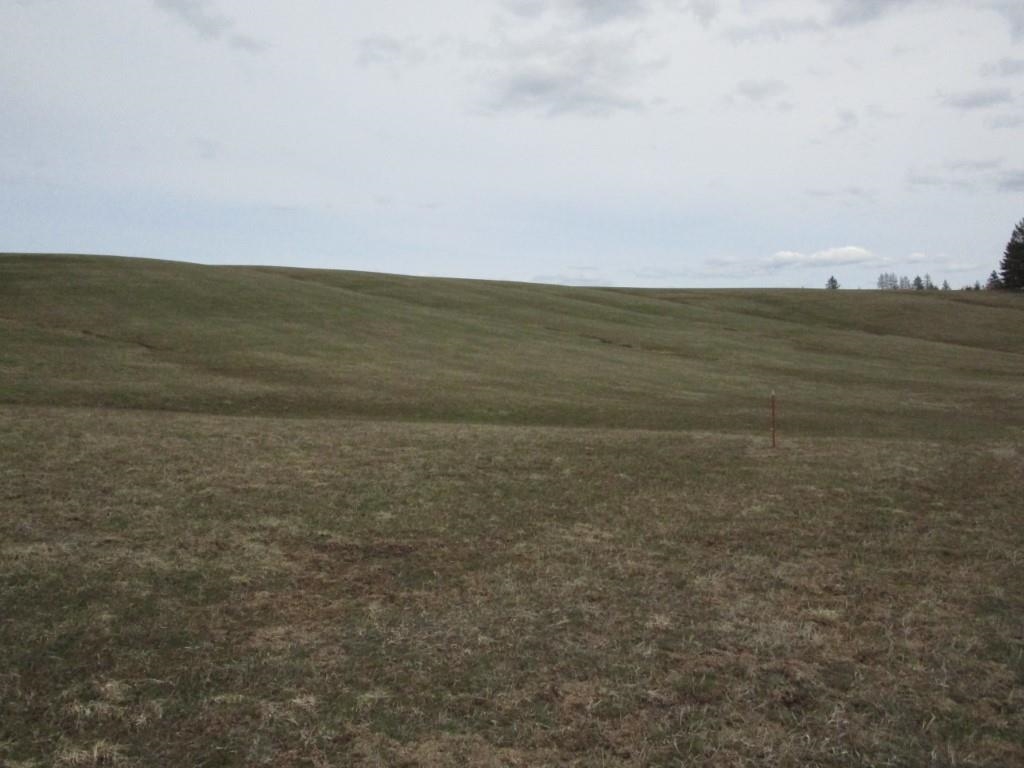 5266 Wagner Road Springdale, WA 99173 - Photo 11 of 14